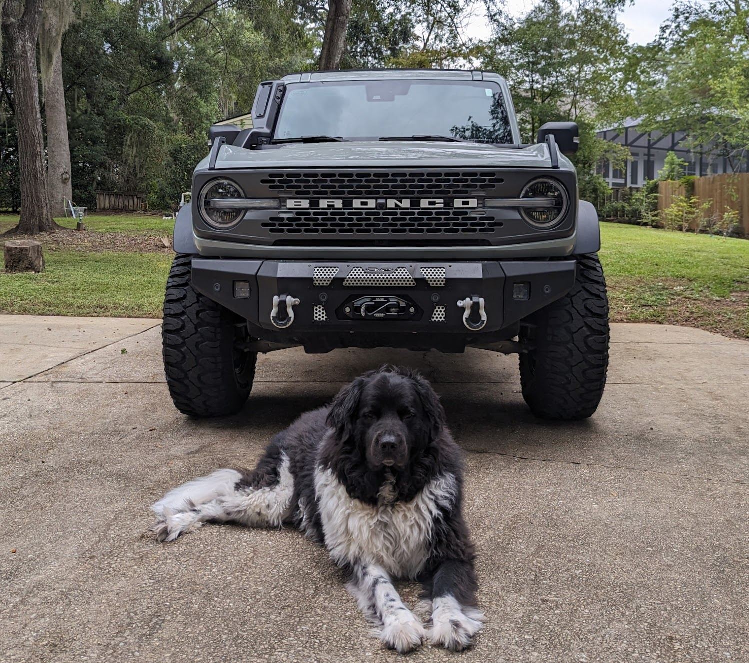 Ford Bronco 🐾 Show Us Your Dog + Bronco Photos! 1695932449567