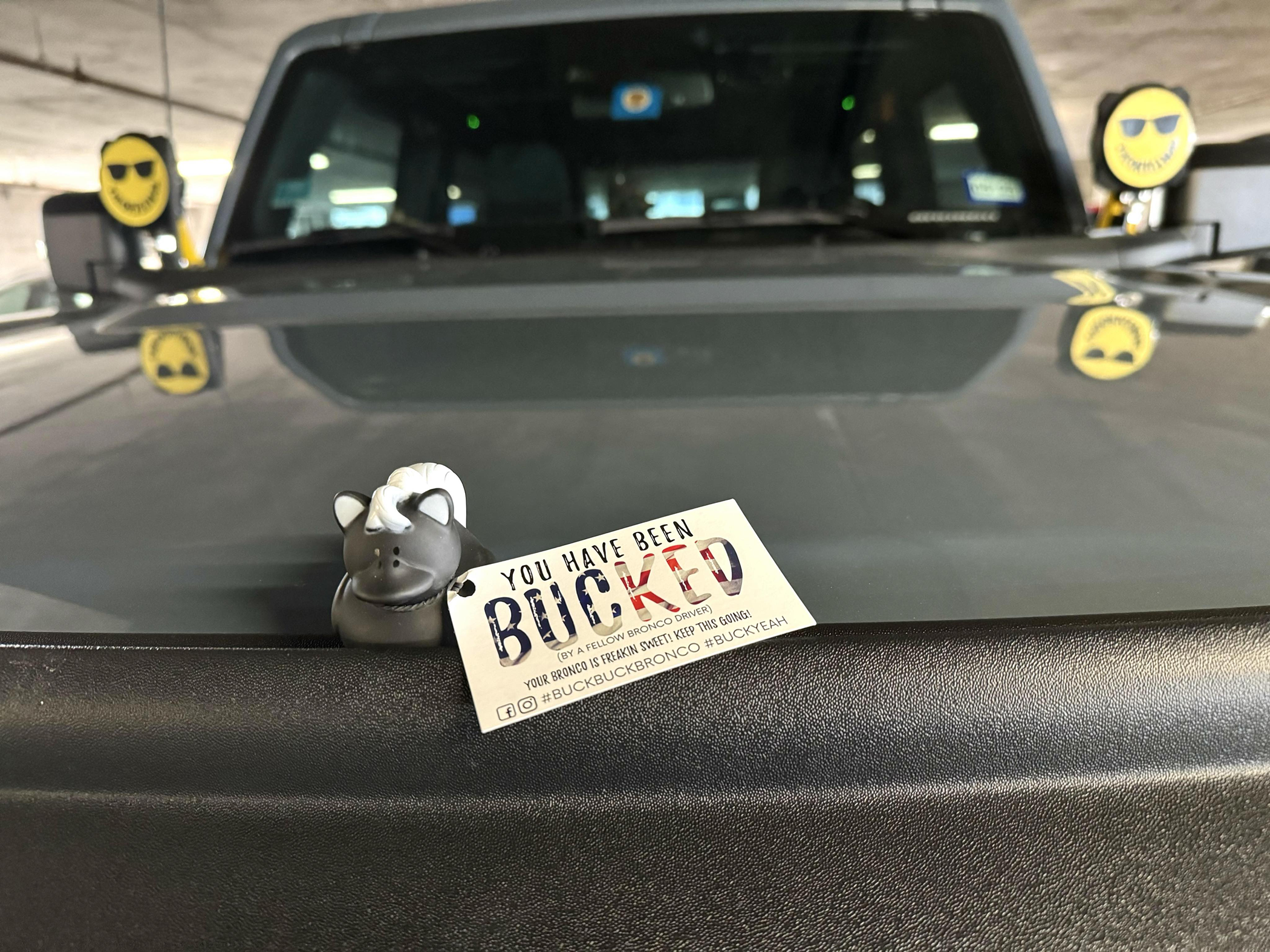 Ford Bronco Got Bucked! 1711037062239-b3
