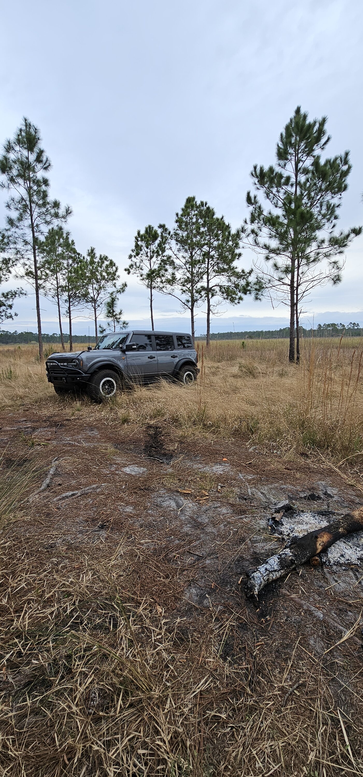 Ford Bronco Conquering the Ocala National Forest: A Bronco Adventure with Muddy Mishaps and Shelter Lessons 20240217_075455