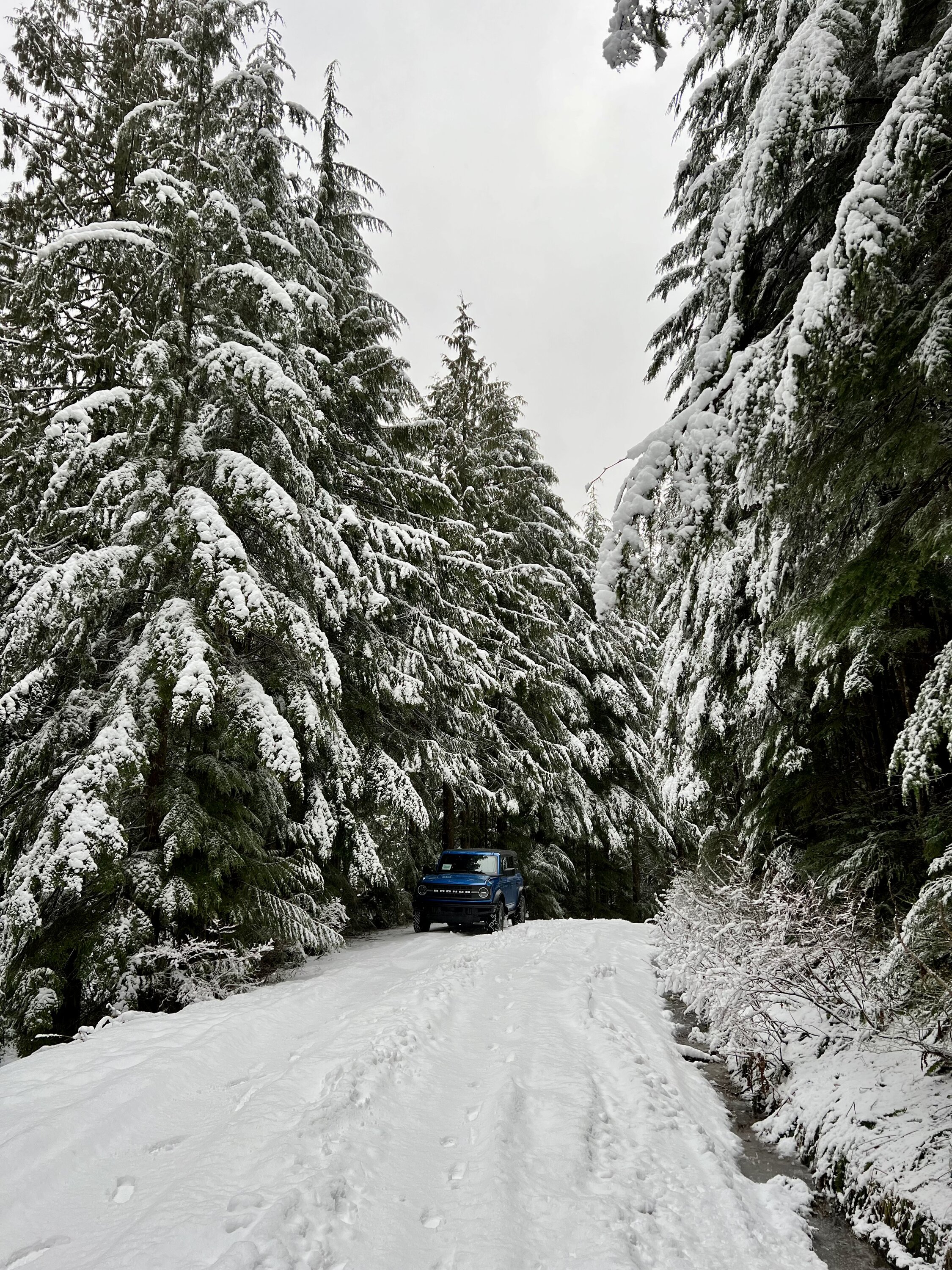 Ford Bronco Show us your Bronco snow pics!! ☃️❄️🥶 20240309_230212