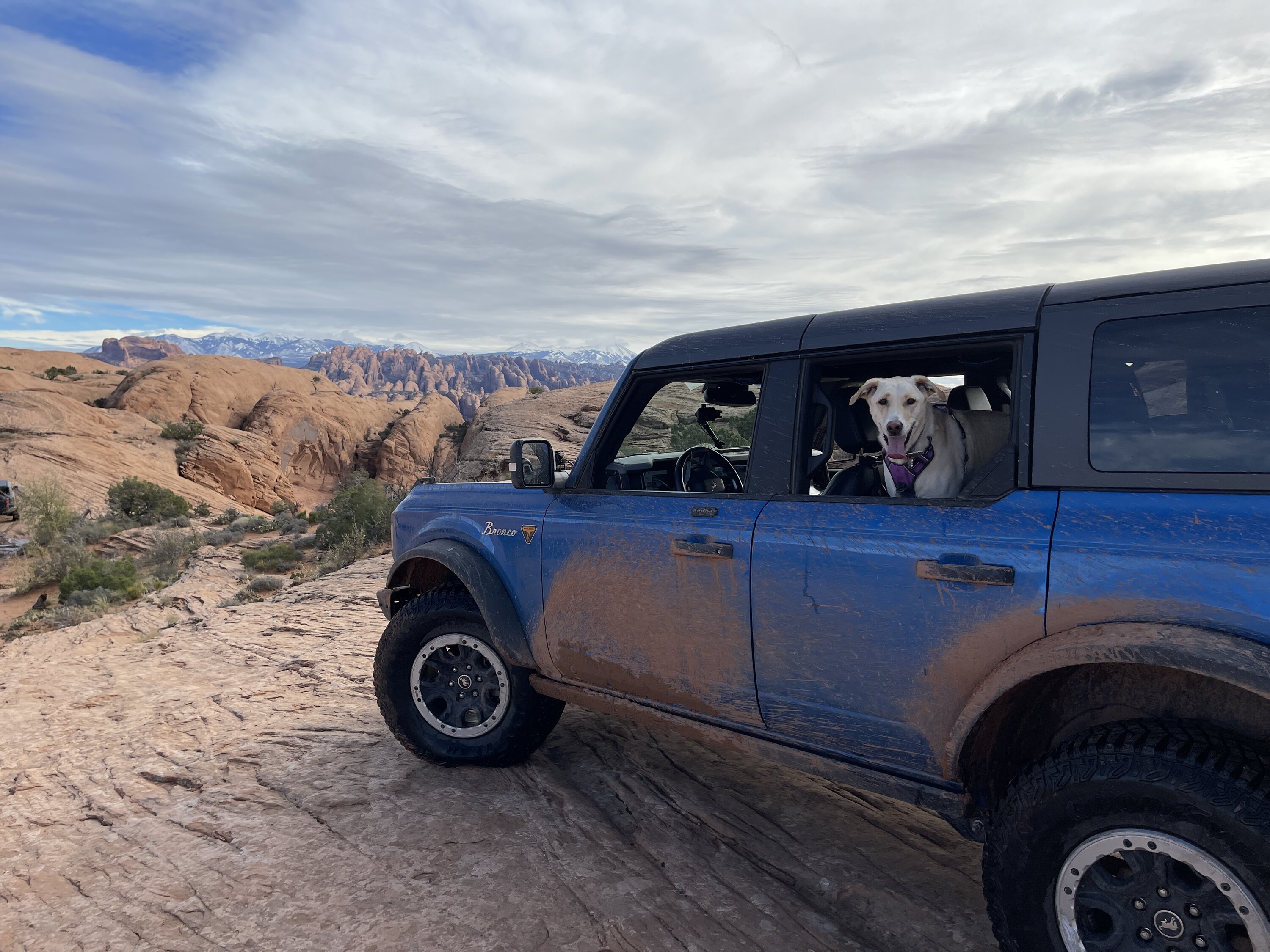 Ford Bronco 🐾 Show Us Your Dog + Bronco Photos! 9C9F965C-6EAD-424D-9468-F50C619F7AA1