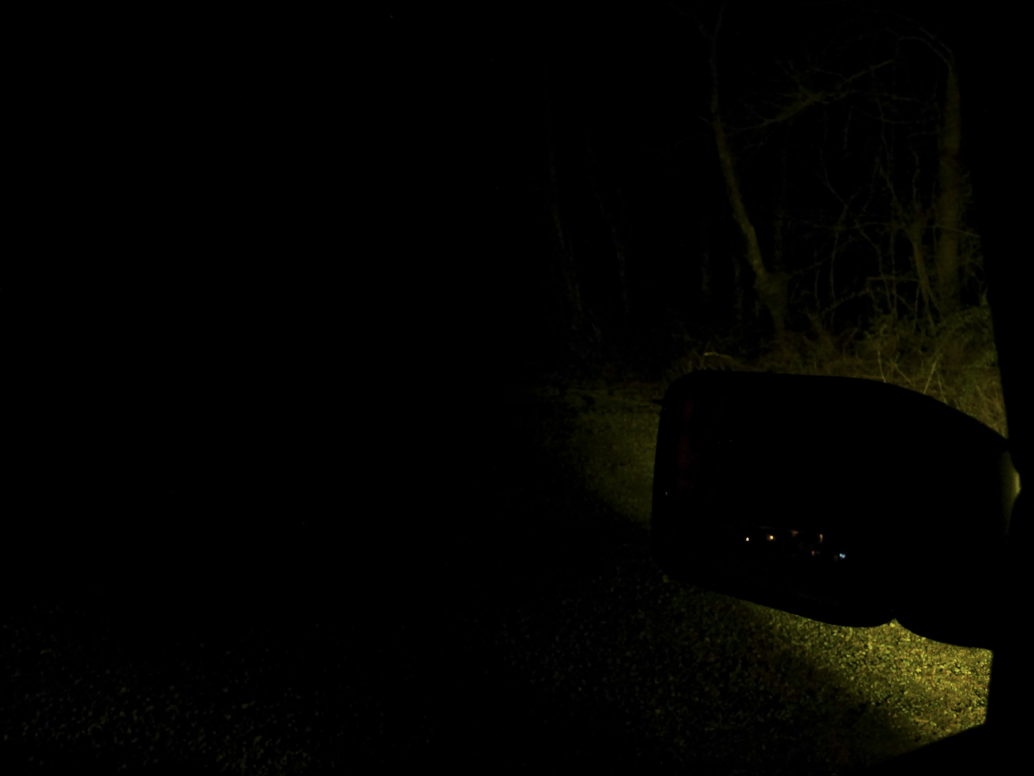 Ford Bronco Low profile ditch lights 9CA2D7DF-EC6B-4726-B8E4-55944C498AFE_1_102_a