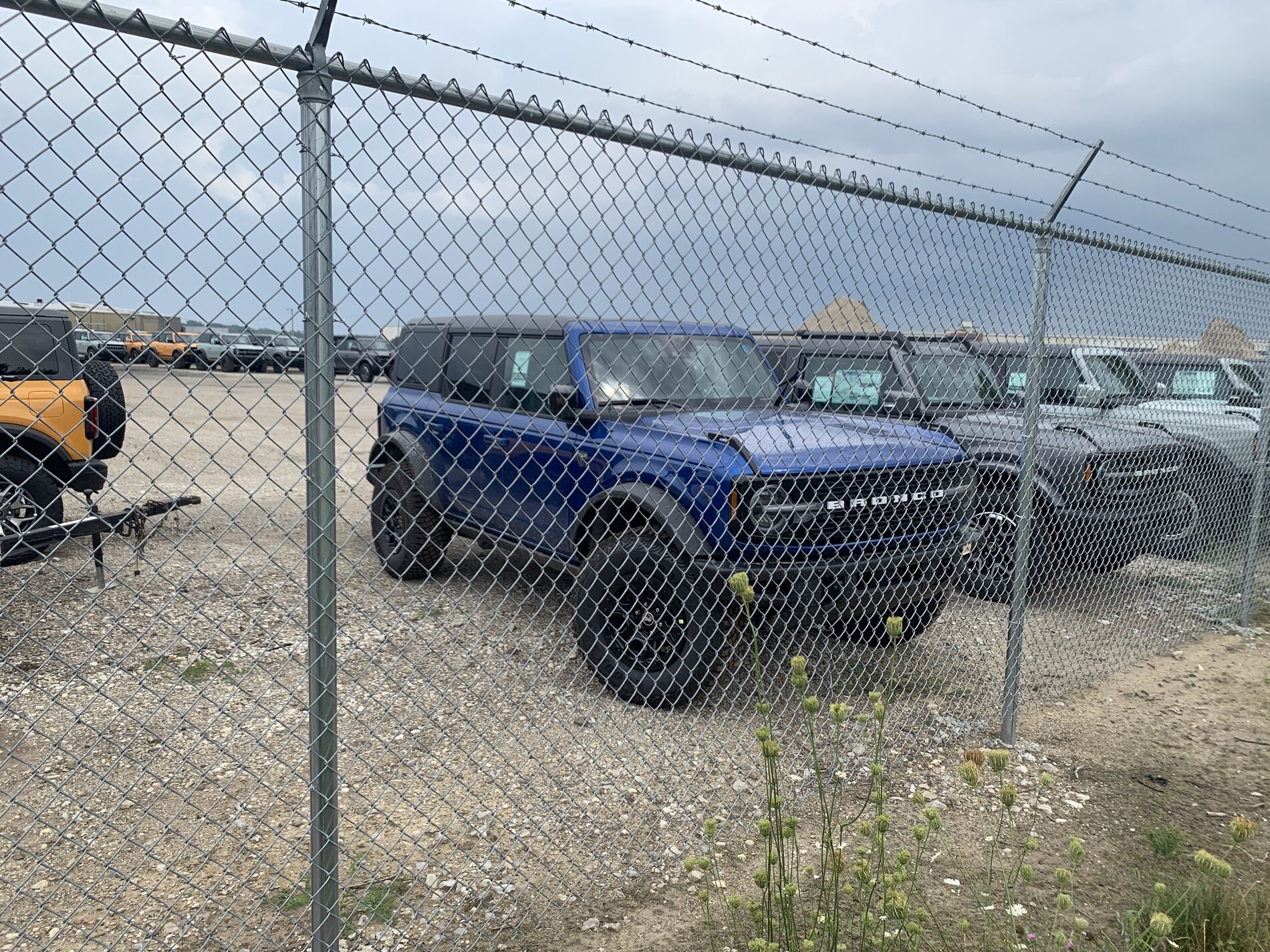 Ford Bronco [Bronco Lot Video] Looking For Yours Stuck in Limbo? giphy