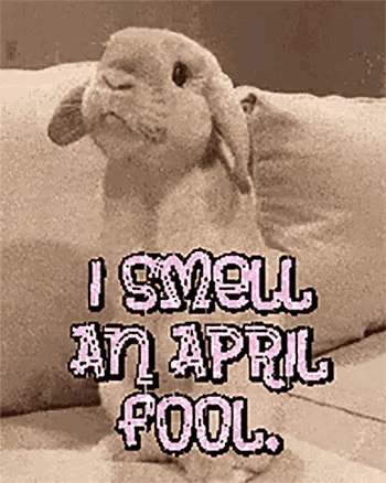 april-fool-rabbit-rabbit-rabbit.gif