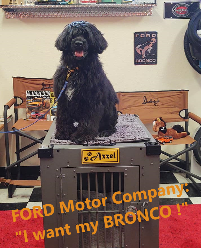 Ford Bronco The Dog Thread 🐾 AxzelFORD2