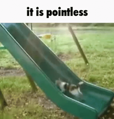 cat-pointless.gif