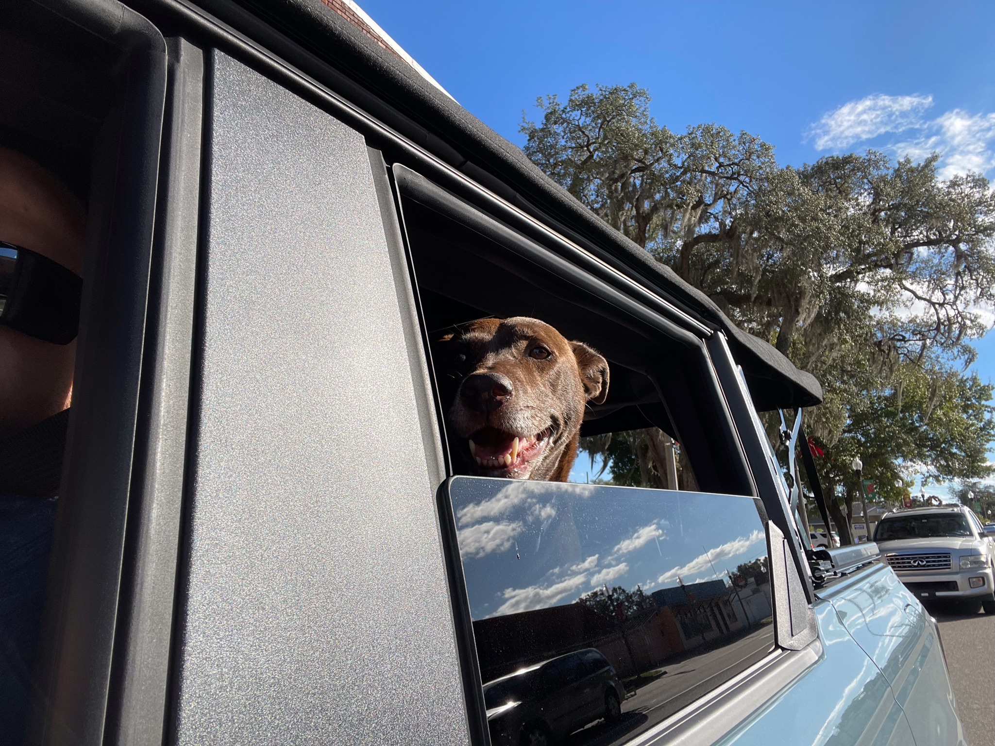 Ford Bronco 🐾 Show Us Your Dog + Bronco Photos! CB8B473F-6272-43F4-954C-AE8048CF55CC