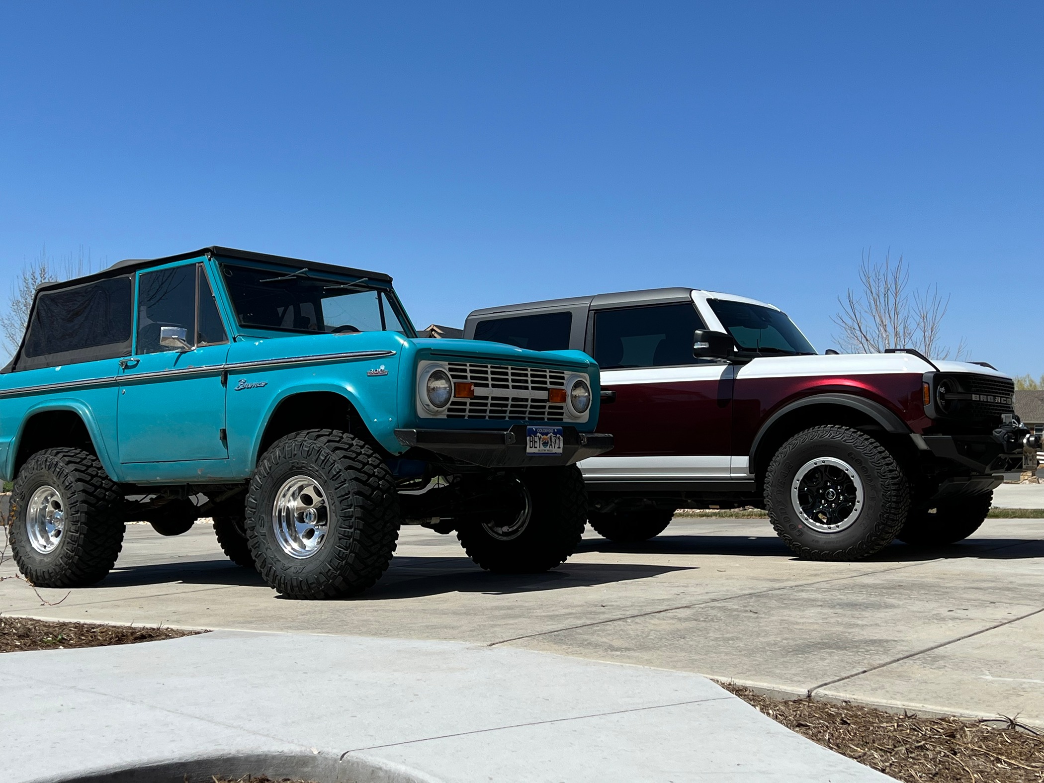 Ford Bronco Added another horse to the garage Darla and Moxie 6-1-23