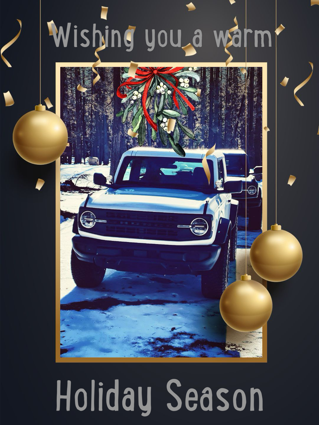 Ford Bronco Have a very Bronco Christmas! E2A162B3-2D65-4098-9296-E9D06C44F1E9