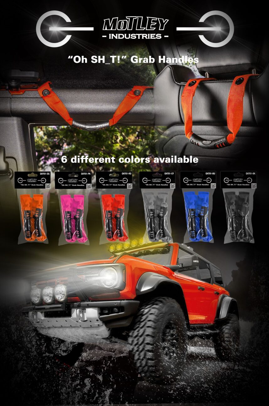 Ford Bronco Grab Handles... With lights! More lights! 😎 e2e63f32-a4aa-4882-9688-0a602f616313