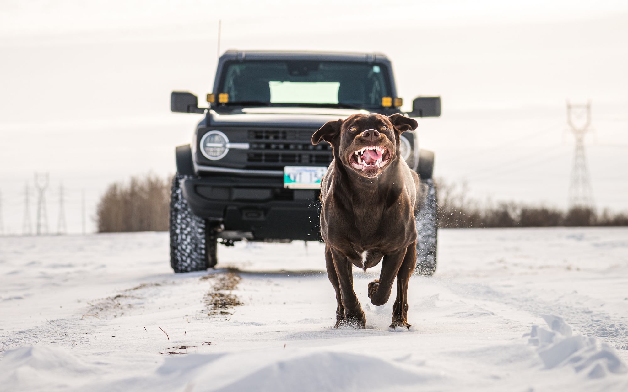 Ford Bronco The Dog Thread 🐾 20221022_163202