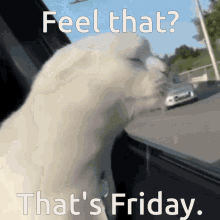 feel-that-thats-friday.gif