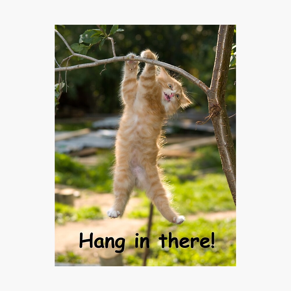 Hang in there.jpg