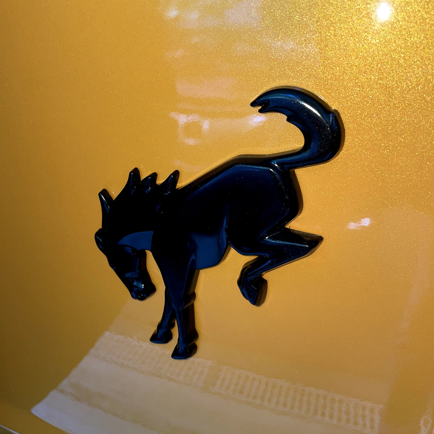 Ford Bronco Black Plasti-Dip on rear Bronco emblem IMG_1175