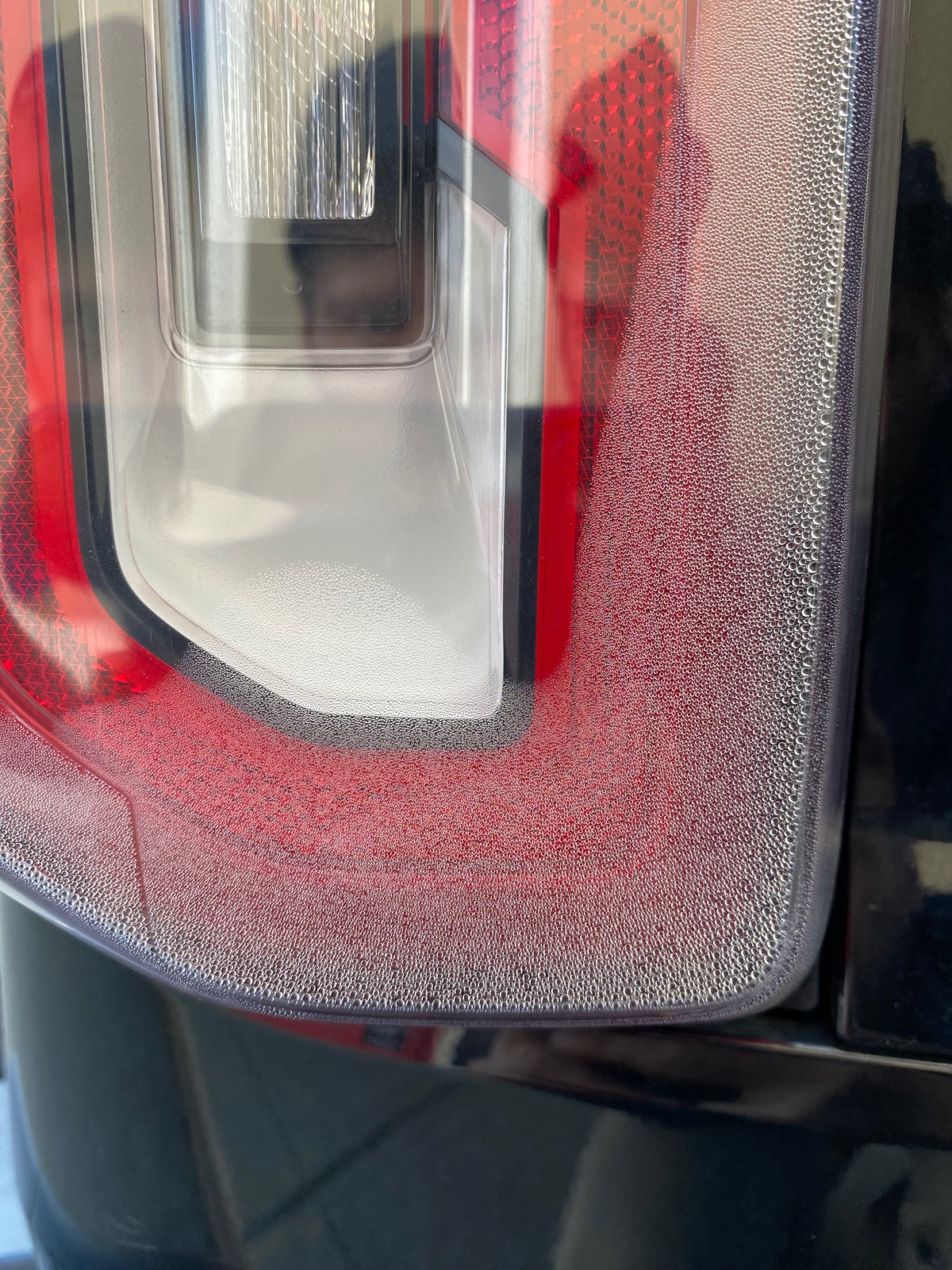 Ford Bronco Water/condensation in rear taillight IMG_3364