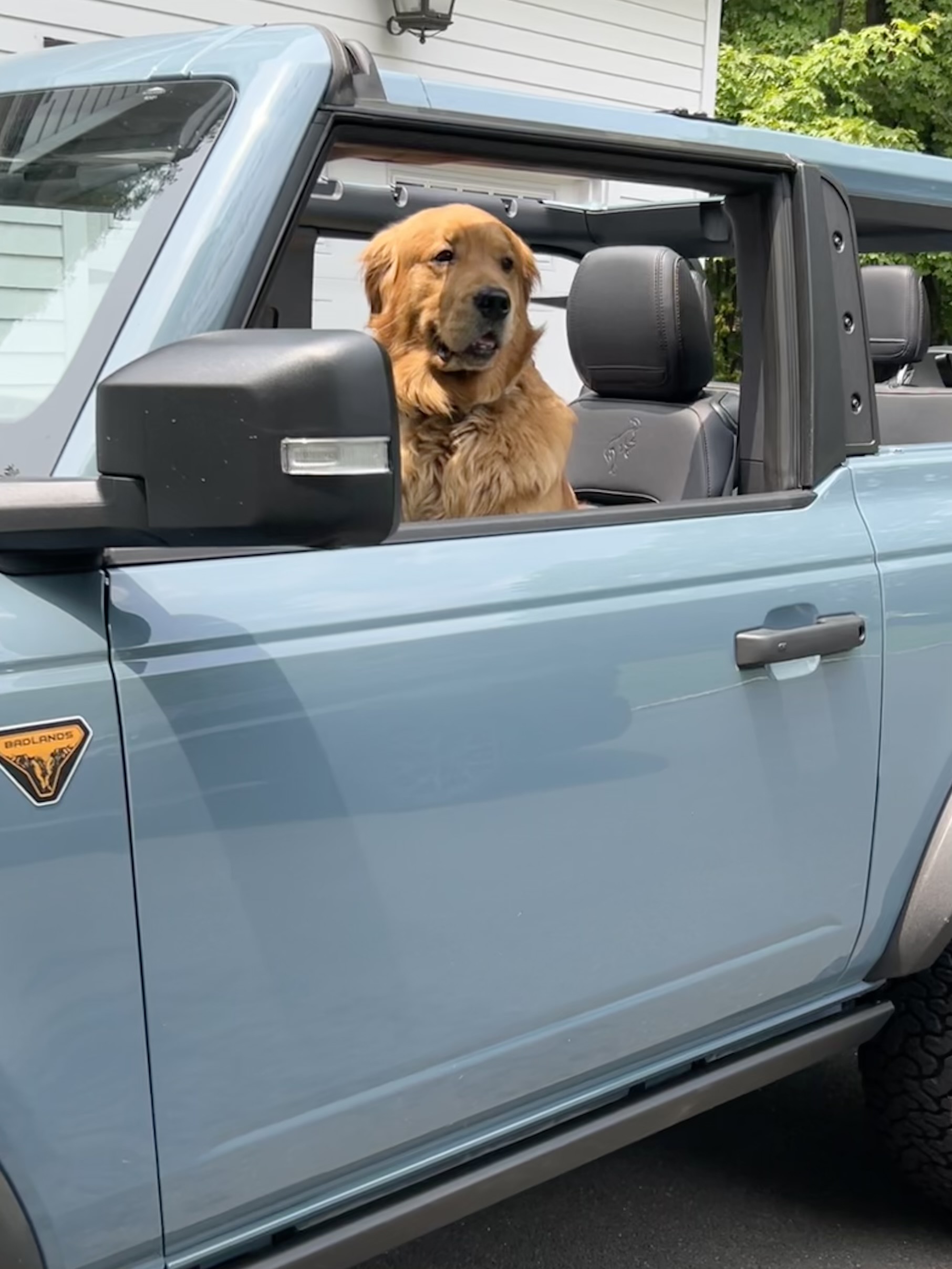 Ford Bronco 🐾 Show Us Your Dog + Bronco Photos! 20230604_131832