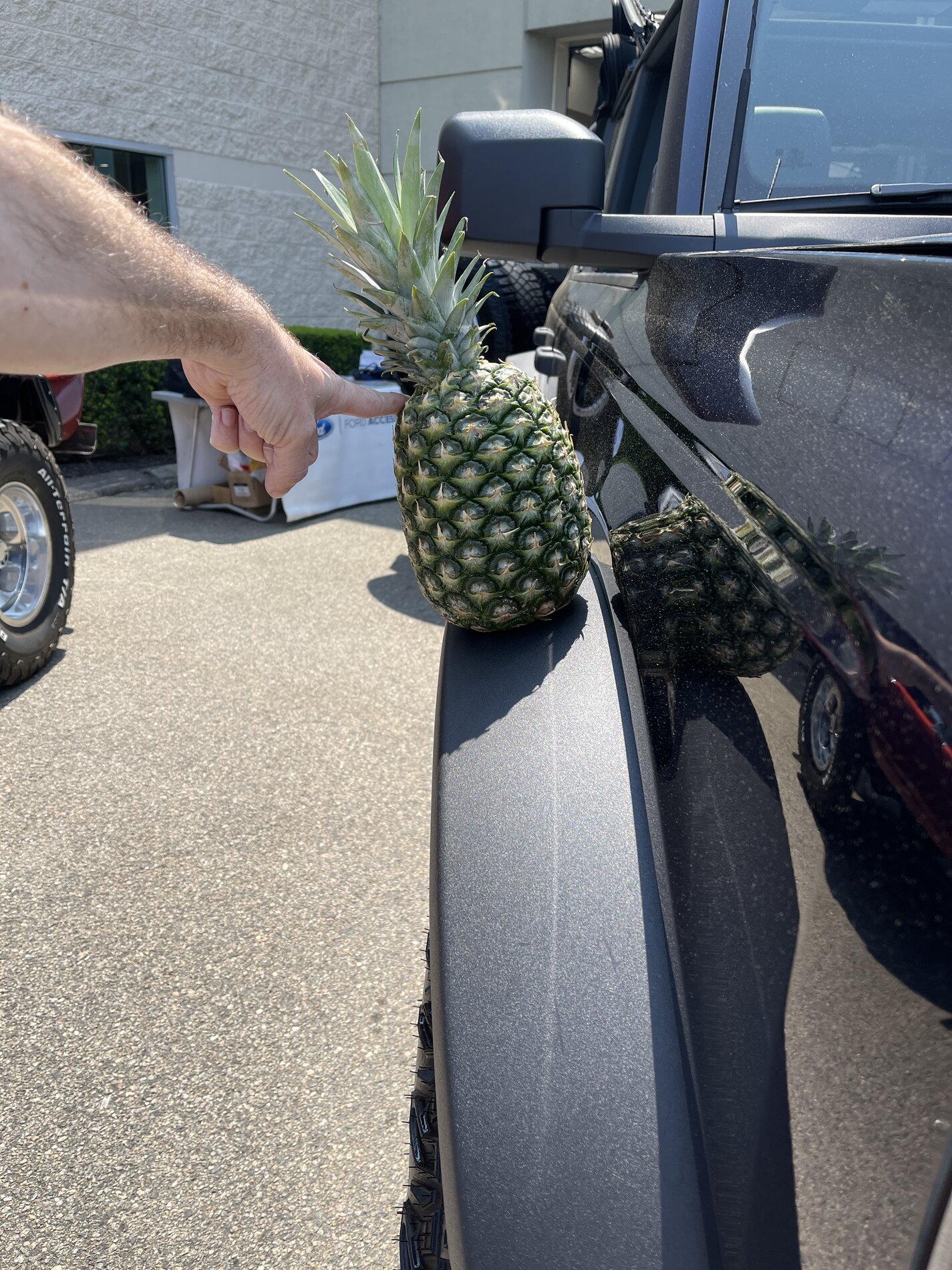 Ford Bronco 🍍 Pineapple For Scale IMG_3639