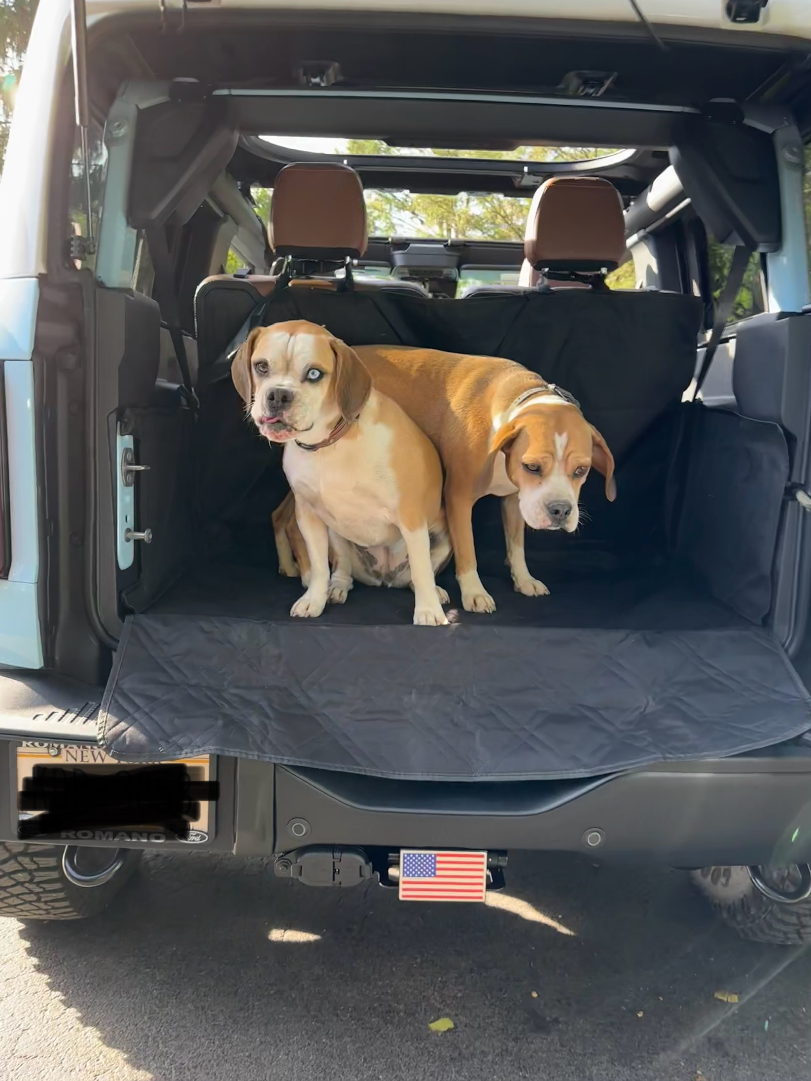 Ford Bronco 🐾 Show Us Your Dog + Bronco Photos! IMG_5096