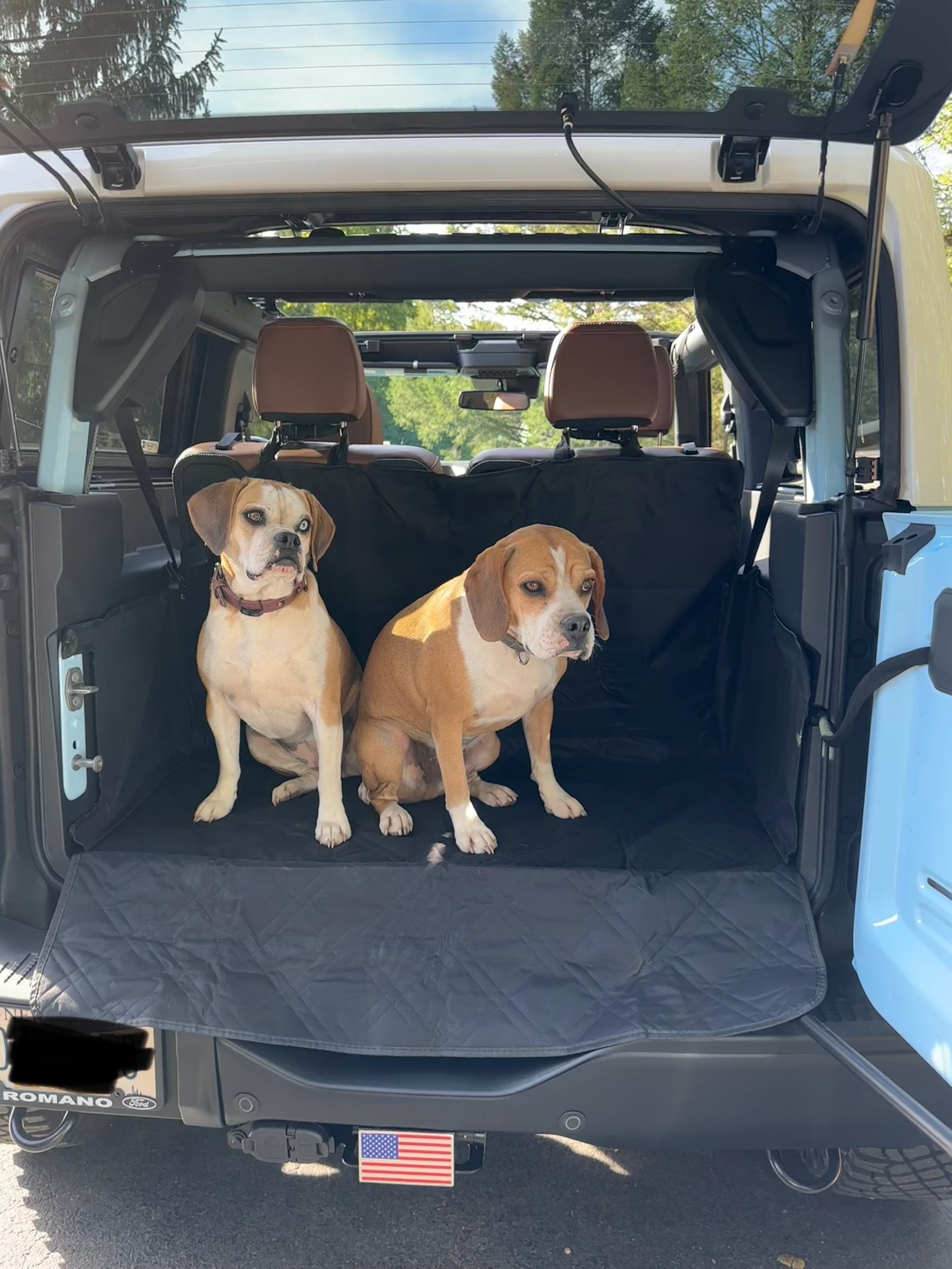 Ford Bronco 🐾 Show Us Your Dog + Bronco Photos! IMG_5099