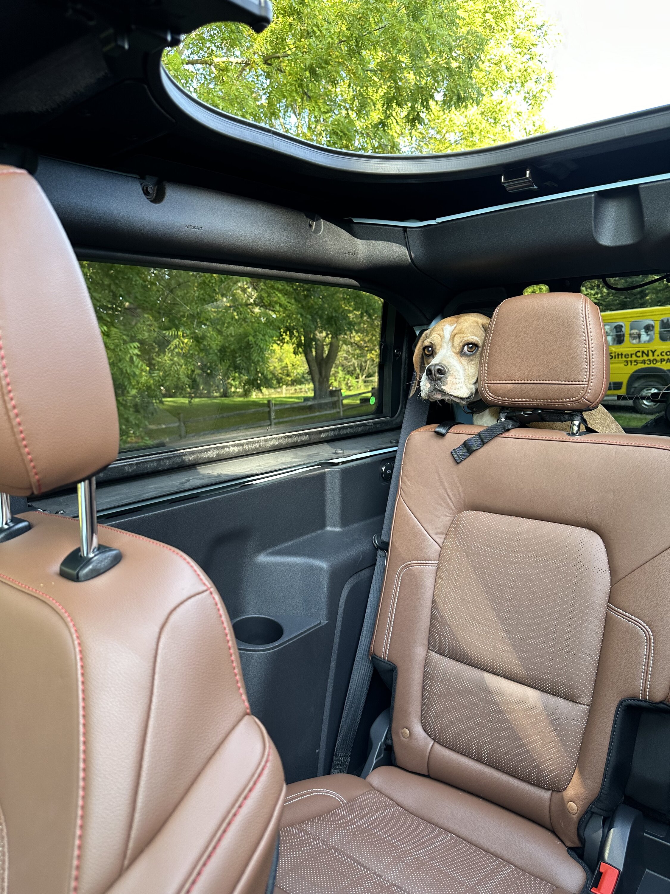 Ford Bronco 🐾 Show Us Your Dog + Bronco Photos! IMG_5112
