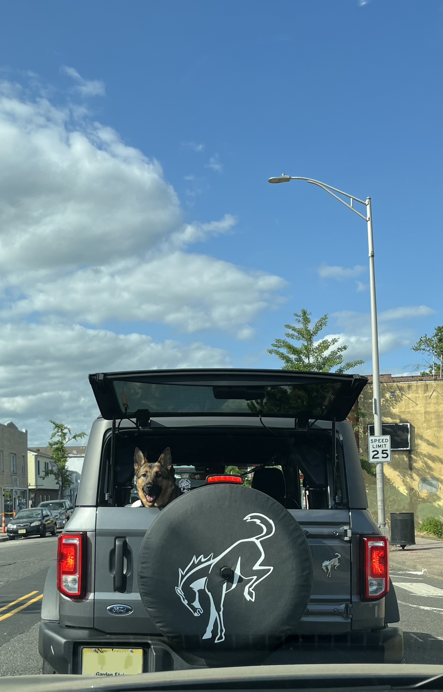 Ford Bronco 🐾 Show Us Your Dog + Bronco Photos! IMG_5193