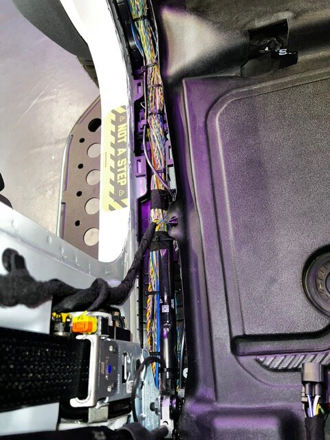 Bronco Wildtrak with Vinyl Floor and Drain Plugs installed! Finally! IMG_9352