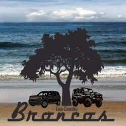 Low Country Bronco (South Carolina)