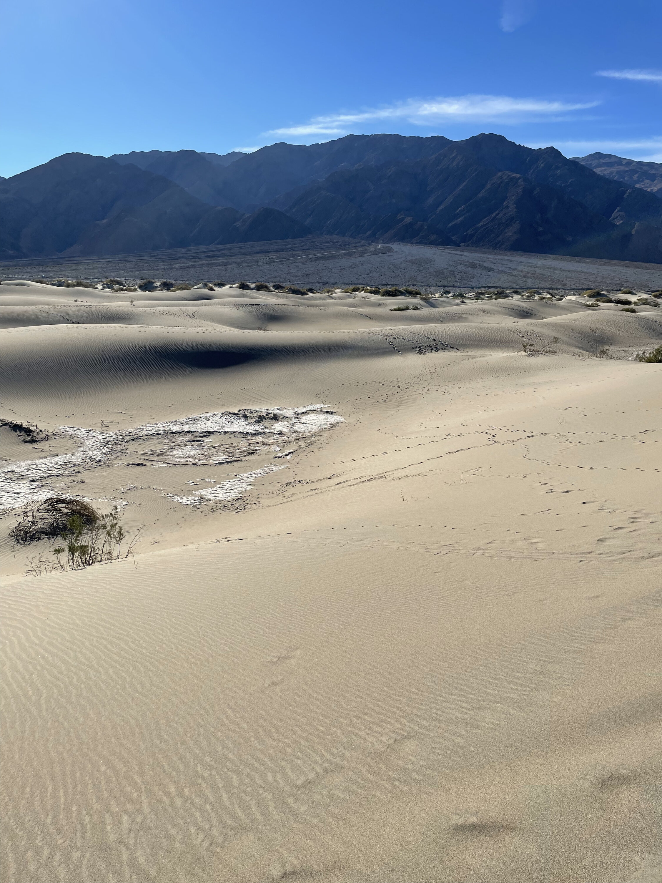 Mesquite Sand Dunes.jpeg
