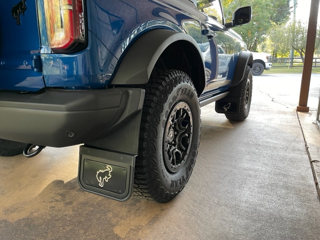 Ford Bronco Two questions…rock protection and steps Mudflaps II