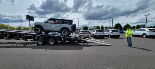 Ford Bronco Crowning Bronco! Only experianced & trained handlers