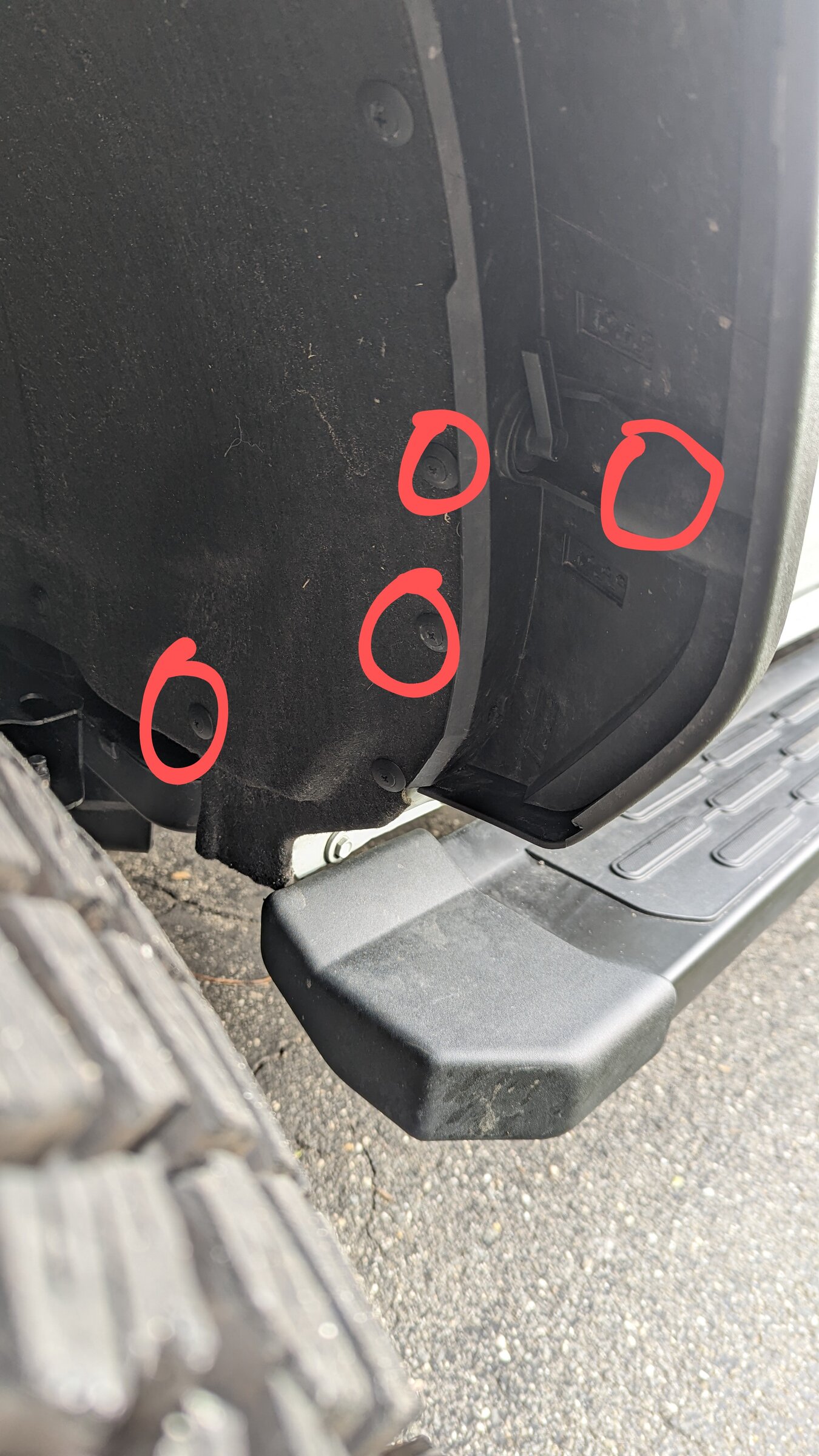 Ford Bronco Custom Sasquatch OBX Mud Flaps PXL_20220322_210012212~2