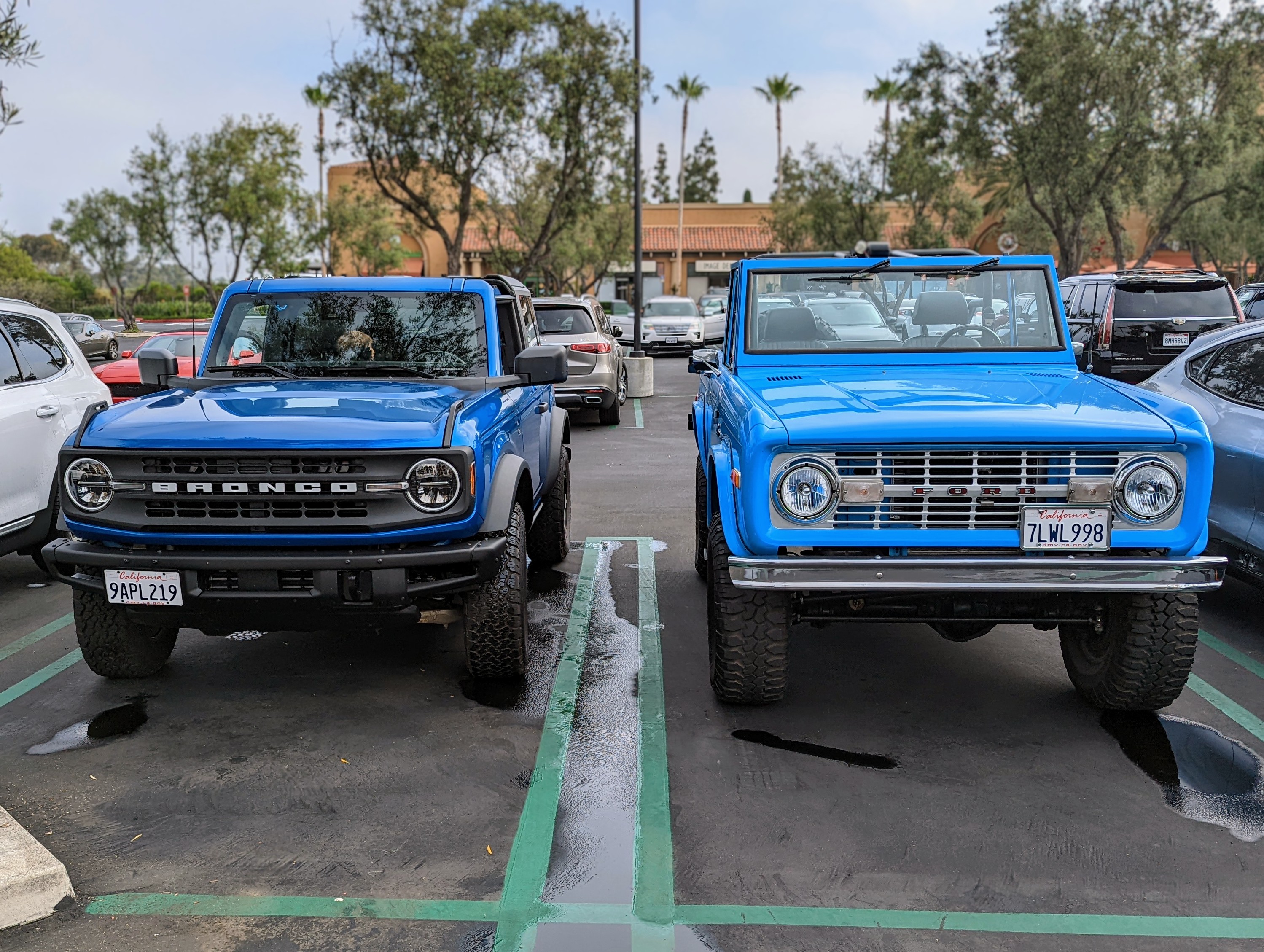 Ford Bronco Are you swapping to Heritage Edition Bronco? PXL_20220611_151018079~2