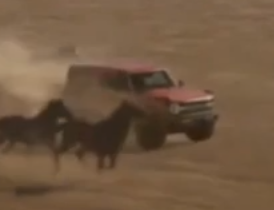 Ford Bronco Ford Bronco Short Film Announces “Built Wild” Outdoor Brand and “Off-Roadeo” Offroad Driving Schools Screen Shot 2020-07-06 at 4.10.34 AM