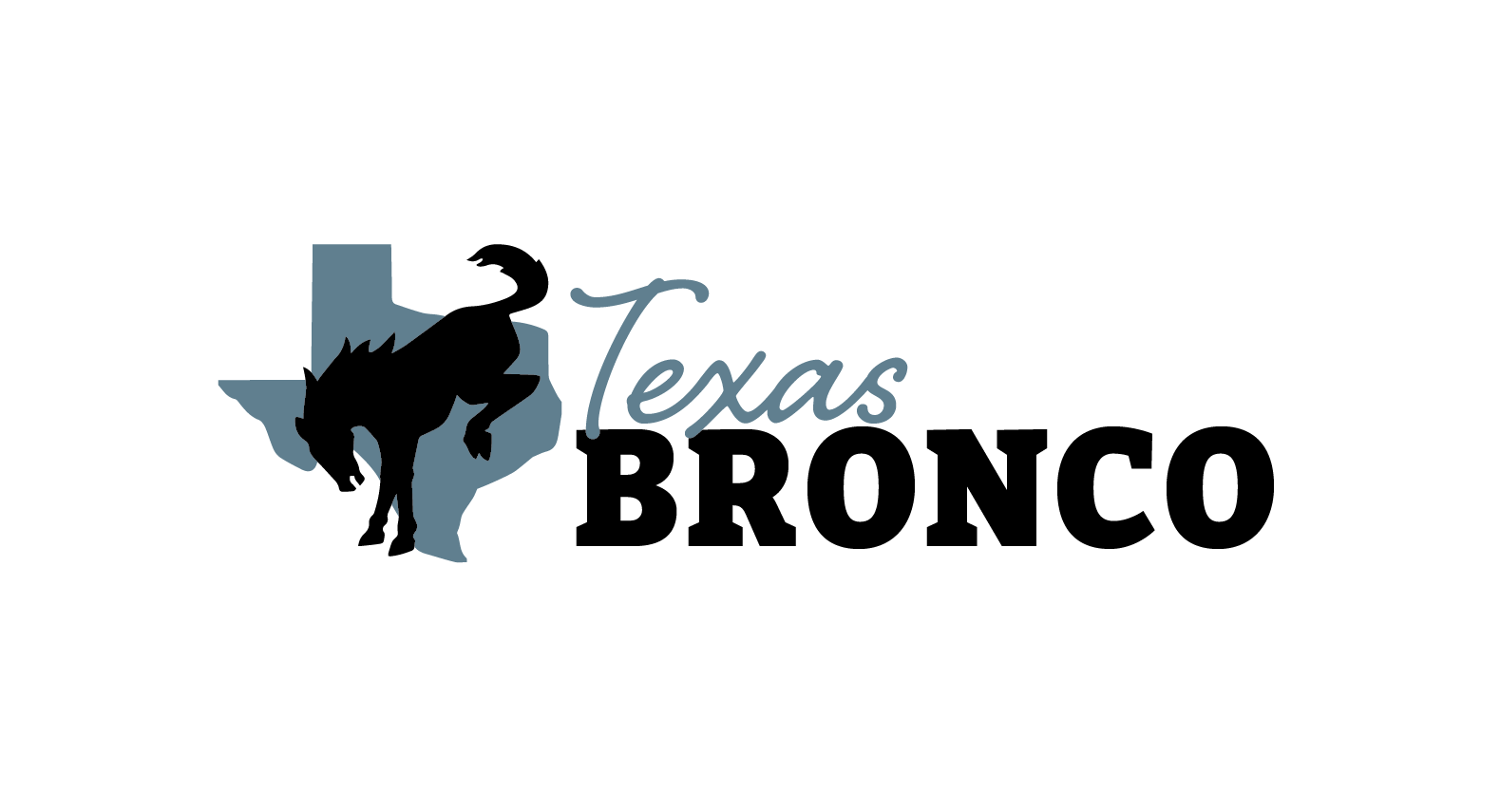 Ford Bronco Texas Bronco logo TexasBronco_Area51