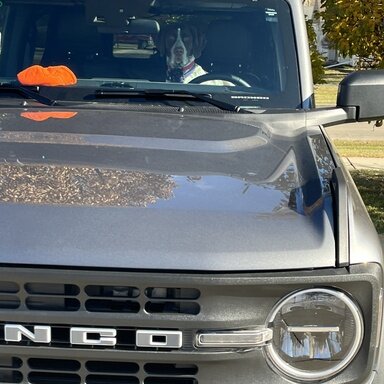 Help, damaged the hardtop. How to repair these scratches / gouges ...