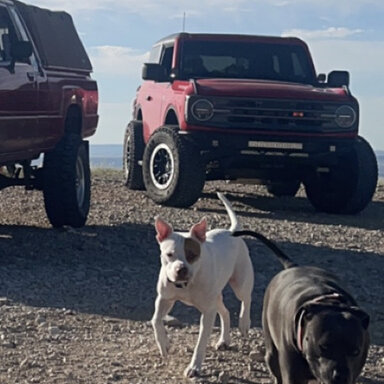 2021 Bronco AUX Switches Wiring Diagram, Video, Discussions | Bronco6G