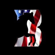 Bronco Battalion usa