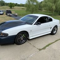 Ls-sn95