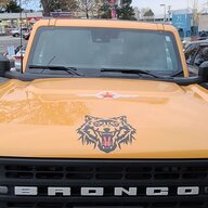 Sunny Bronco