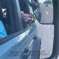 Dog named Linda