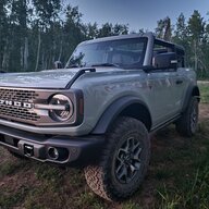GreyWhale the Bronco