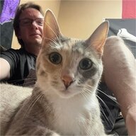 DaveWKC