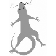 Lab00Rat