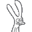 Binky