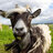 JoeyGoats