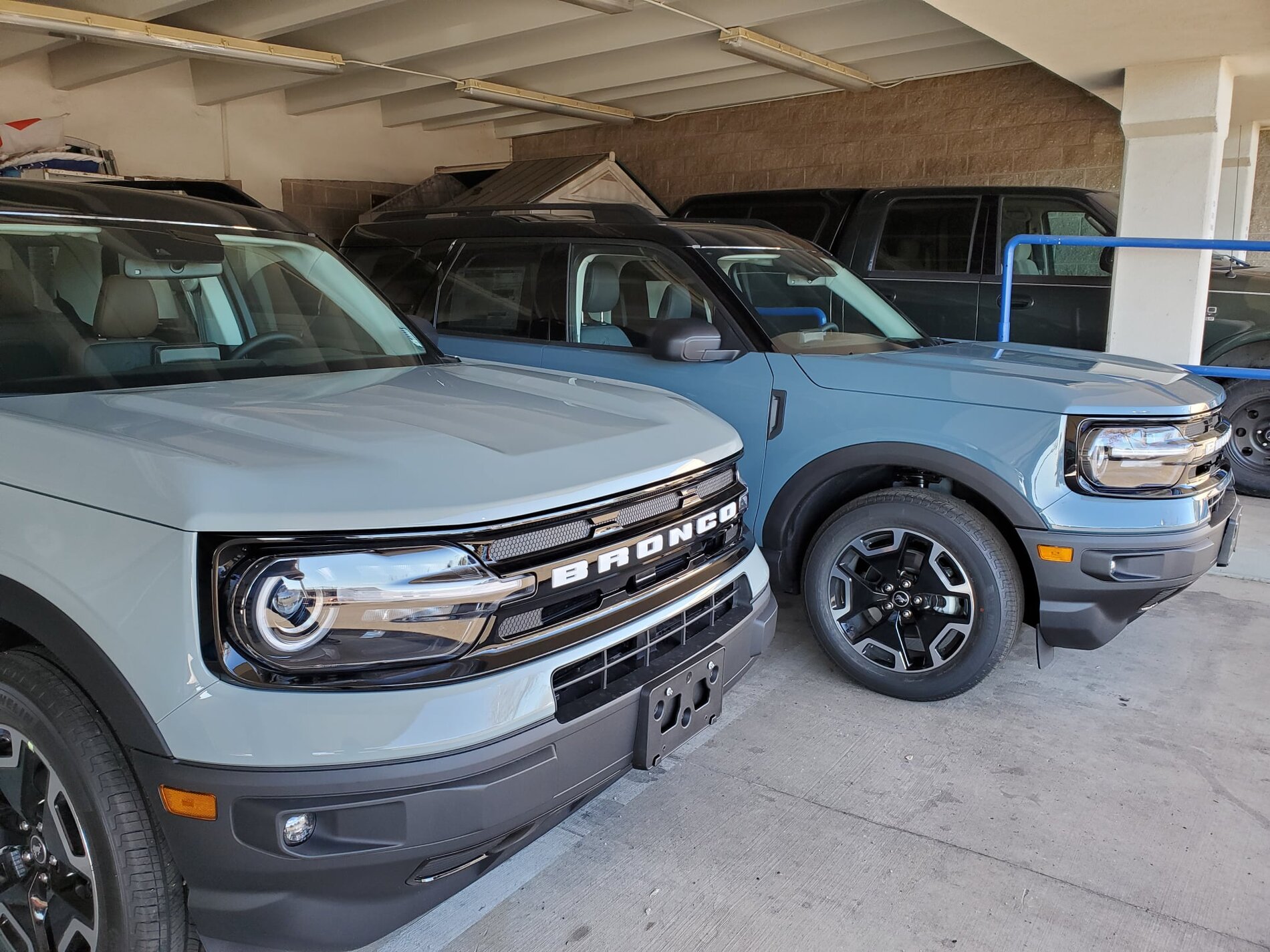 Area 51 vs Cactus Gray side-by-side comparison (on Sport) | Bronco6G ...