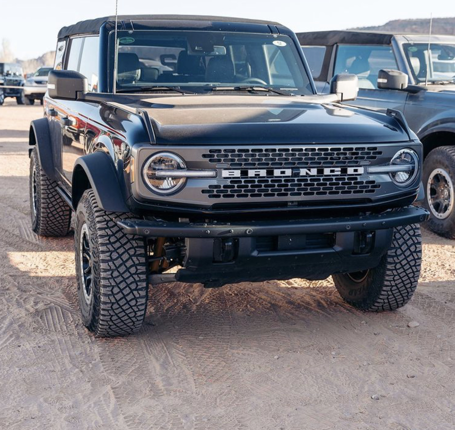 Sasquatch Bronco 2025 Daisi Celeste